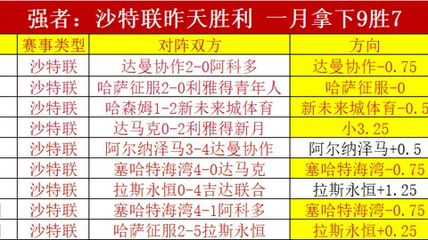 巴杜莎在澳網意外击败歌芙晉晋级四強　去年排名一度降至140位，职业生涯低谷再现