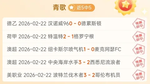 恩迪卡点评：帕尔马仅射正1次，苏莱进球，防守表现助力球队逆袭